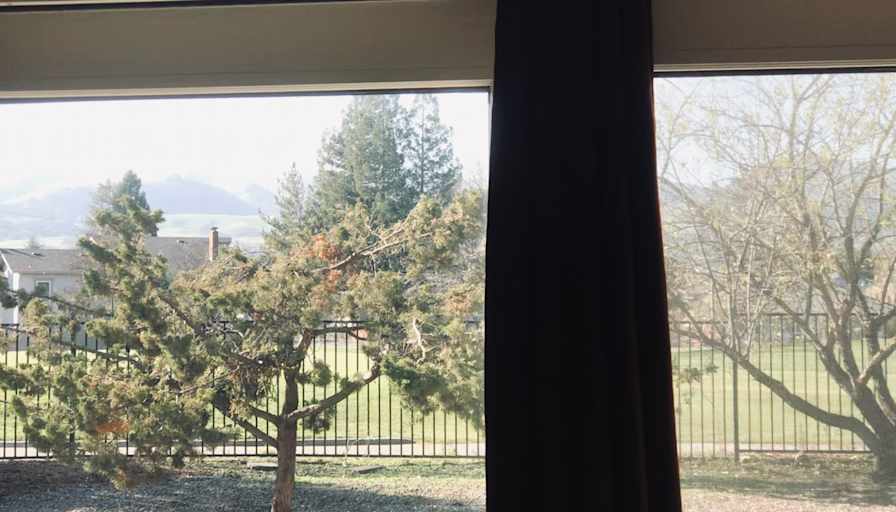 Ivy's room