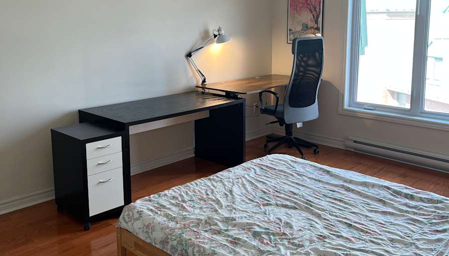 Mateo's room