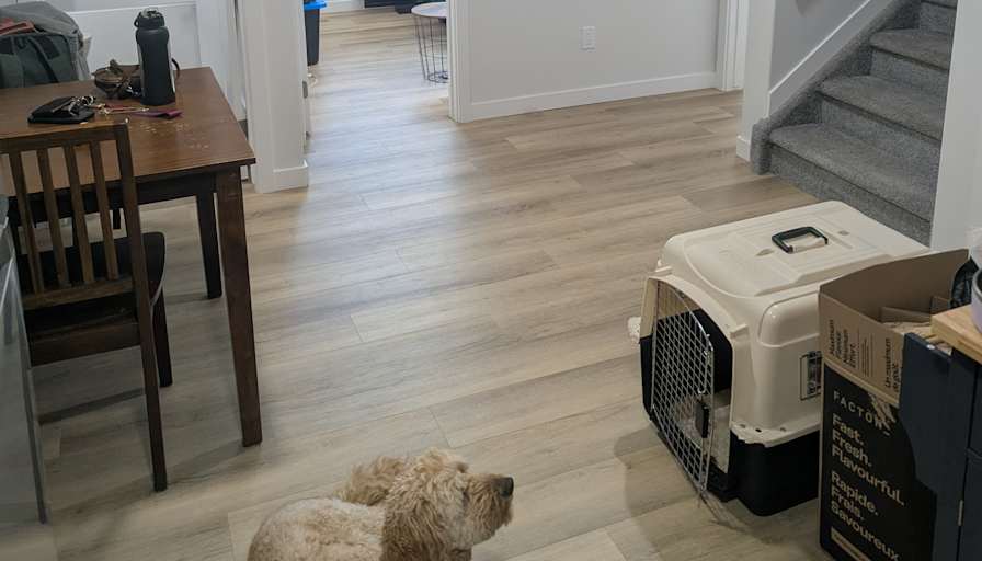 Laurie Desrochers's room