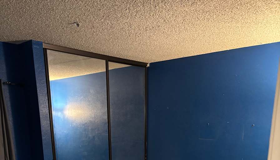 Matt's room