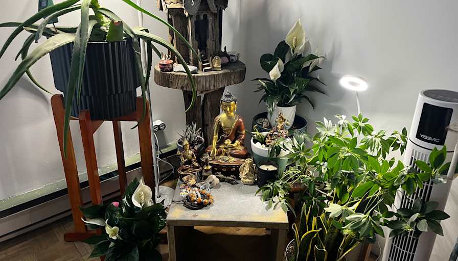 Leanne's room