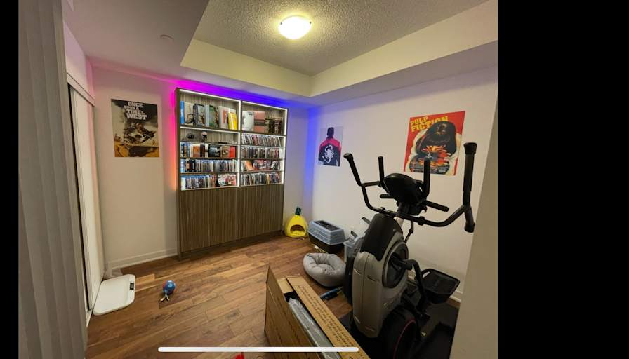 Mahdi's room
