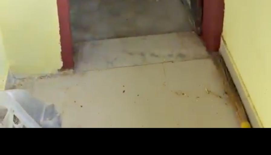 Mansi's room