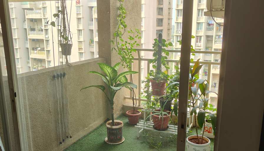 Ankit Gaurav's room