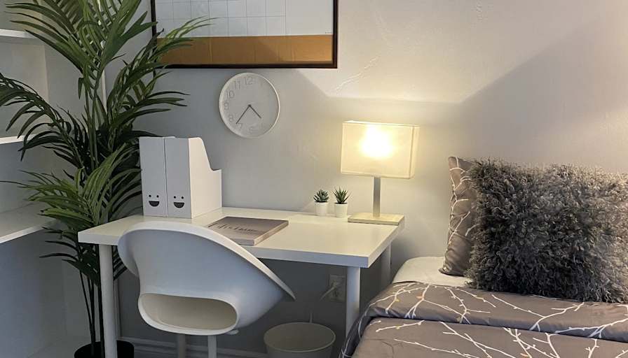 Mahmut Aga's room