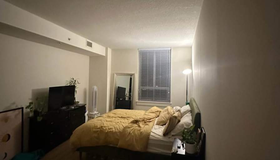 Leila's room