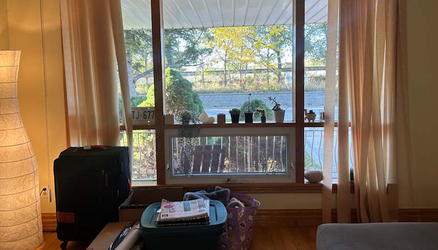 Cyncyn's room