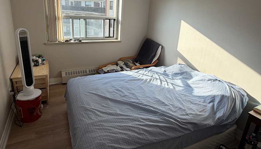 Shaky's room