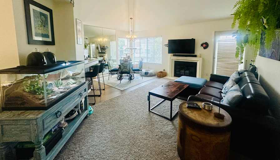 Jess's room