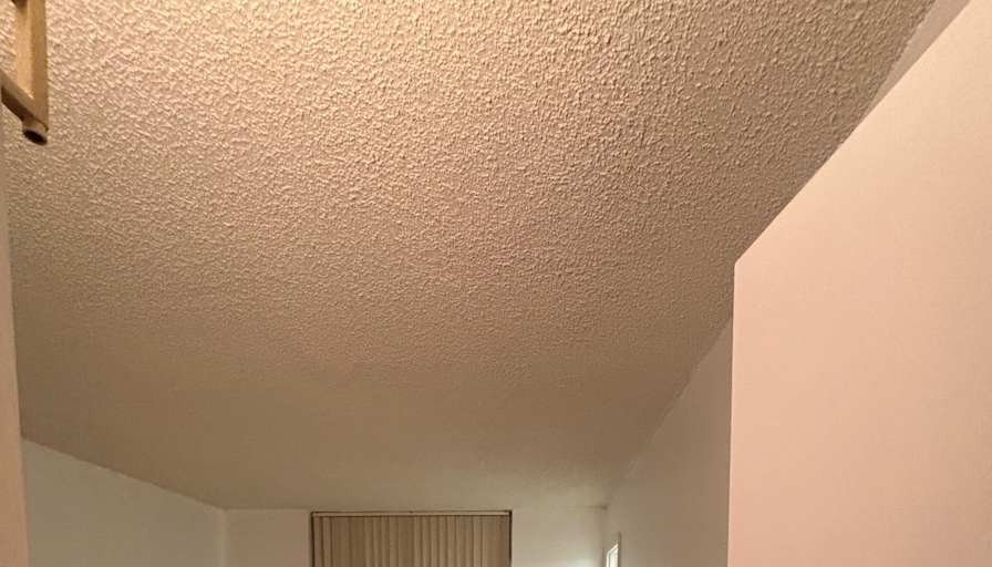 Betou's room