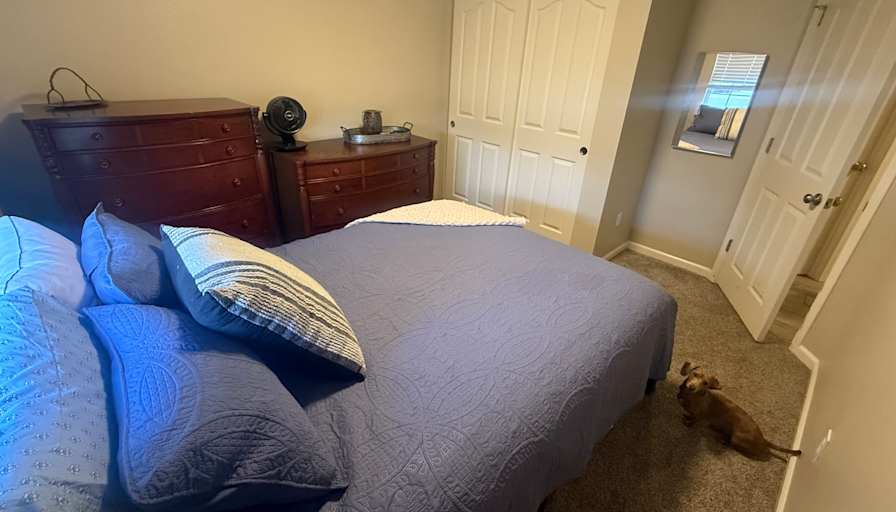 Larrisa's room