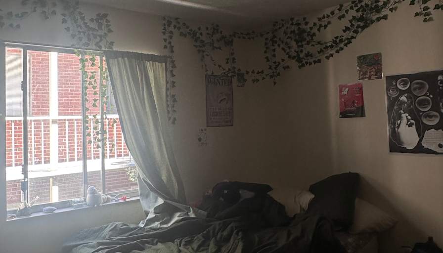 Lily's room