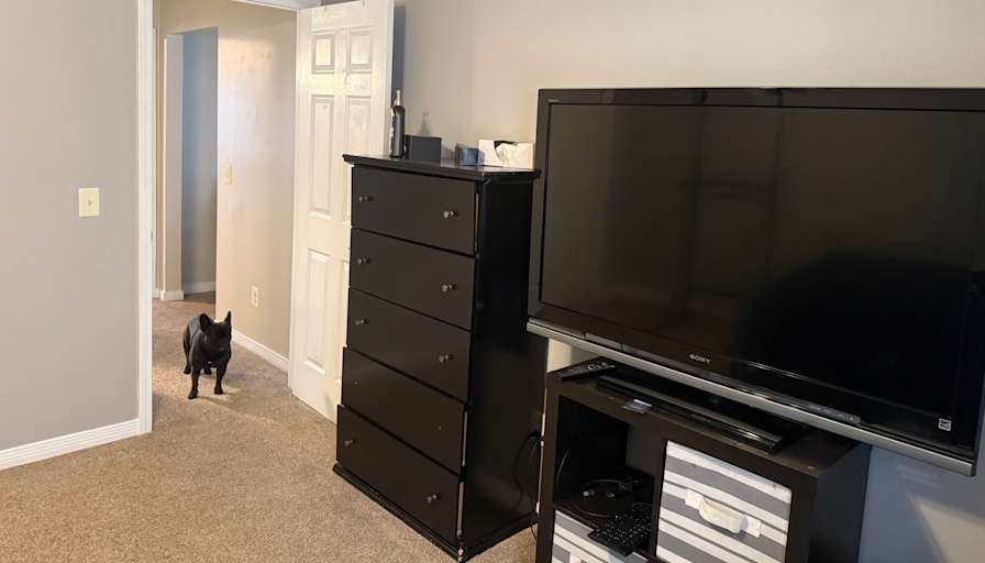 Joel's room