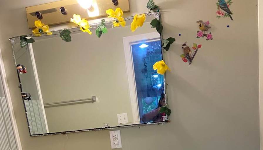 Saru's room