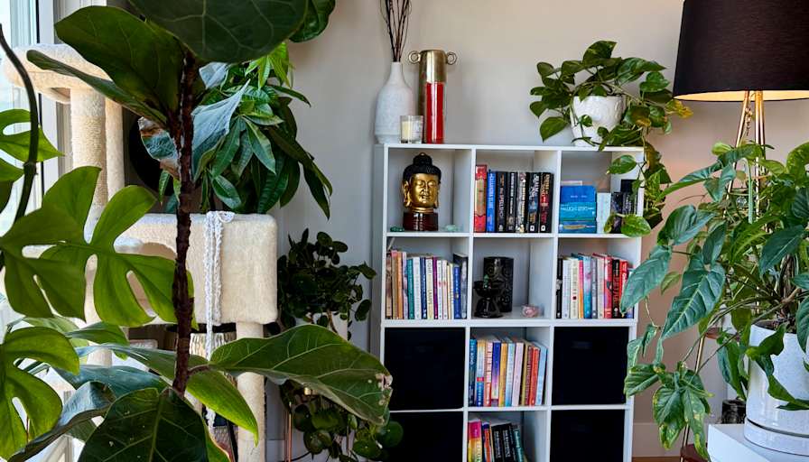 Kristen's room