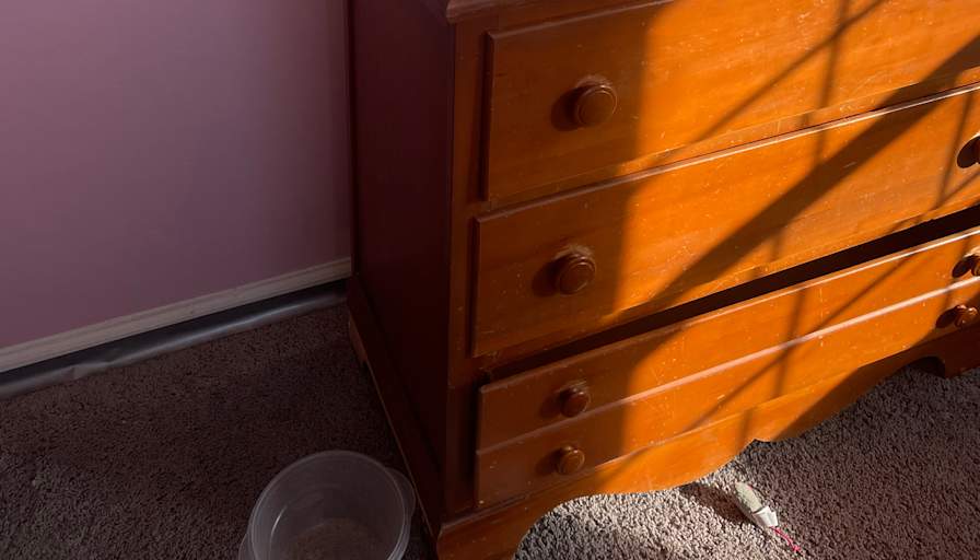Suellen Kehler's room