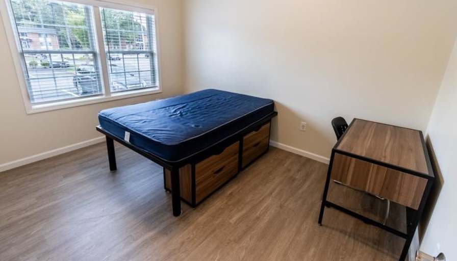 Shane's room