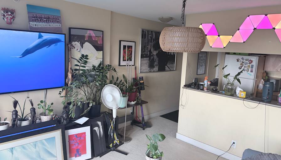 Richard Romano Carlsen's room