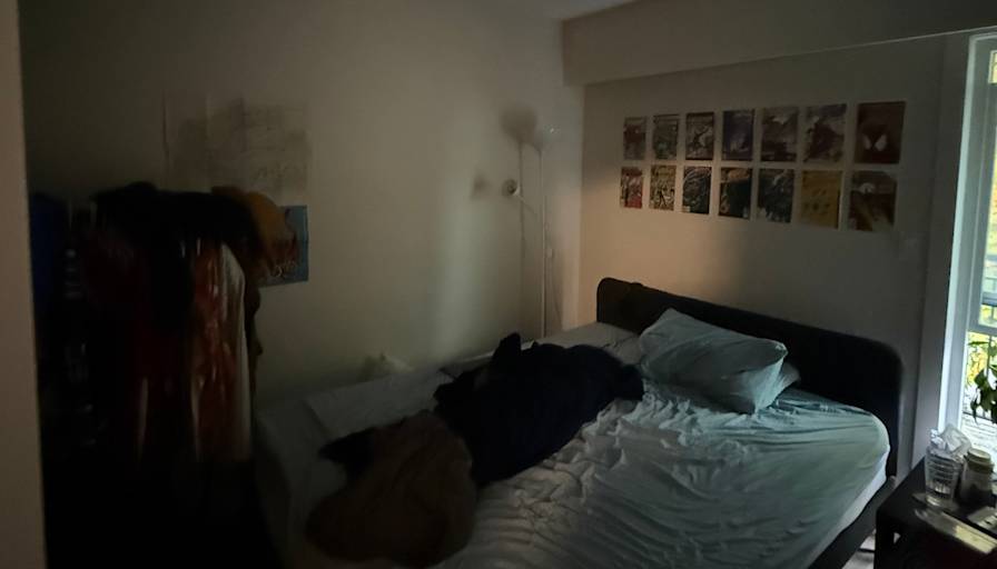 Nemo's room