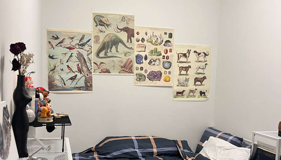 Reisa's room