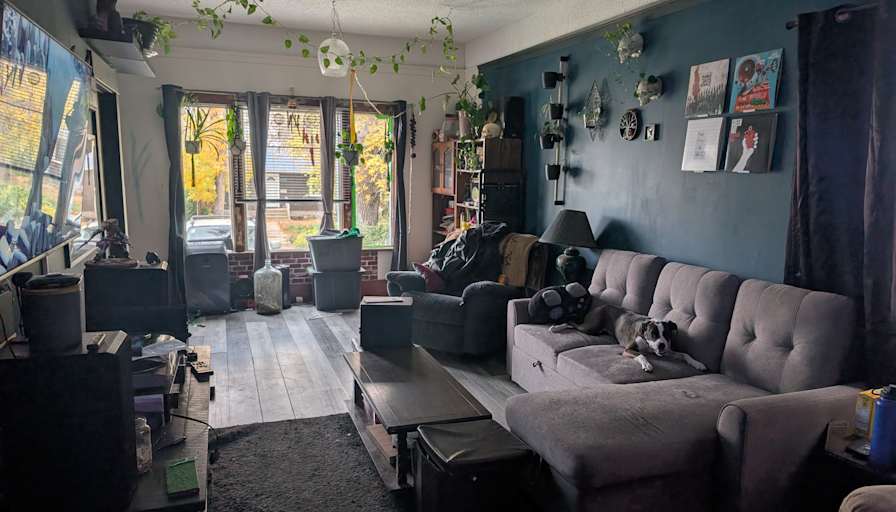 jordan wilton's room