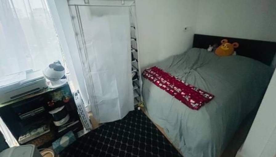 David's room