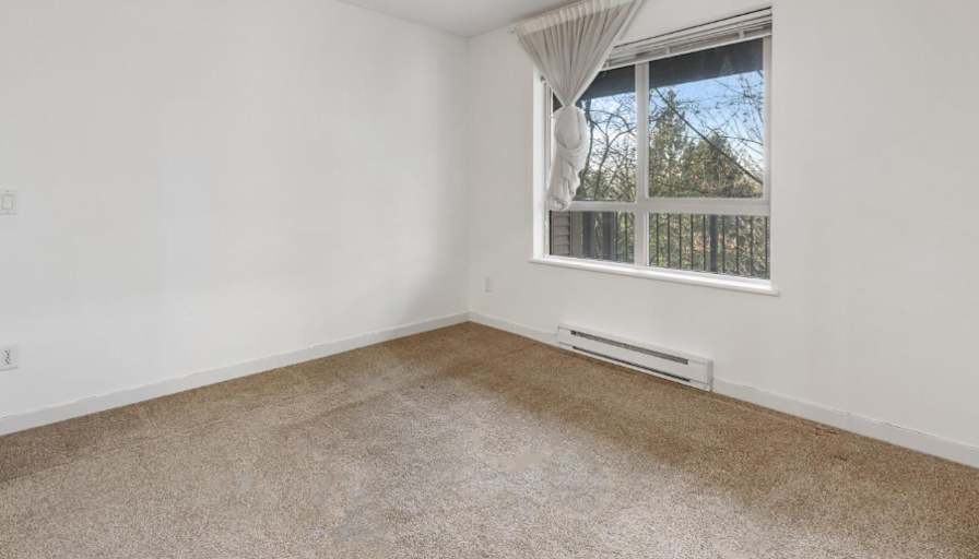 Shane's room