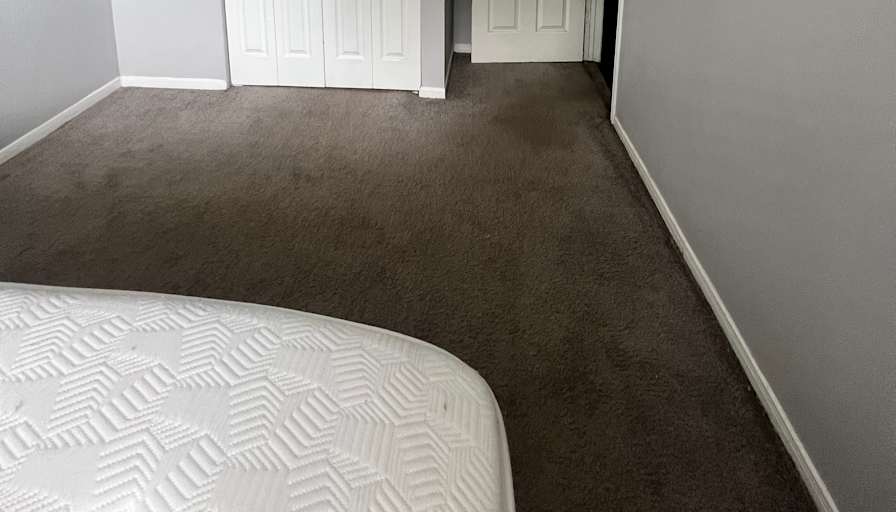 VENEISHA's room