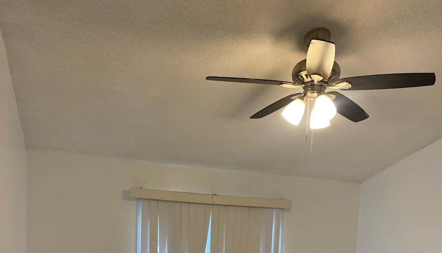 Dialay's room