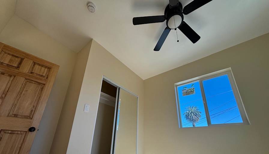 Rafael's room