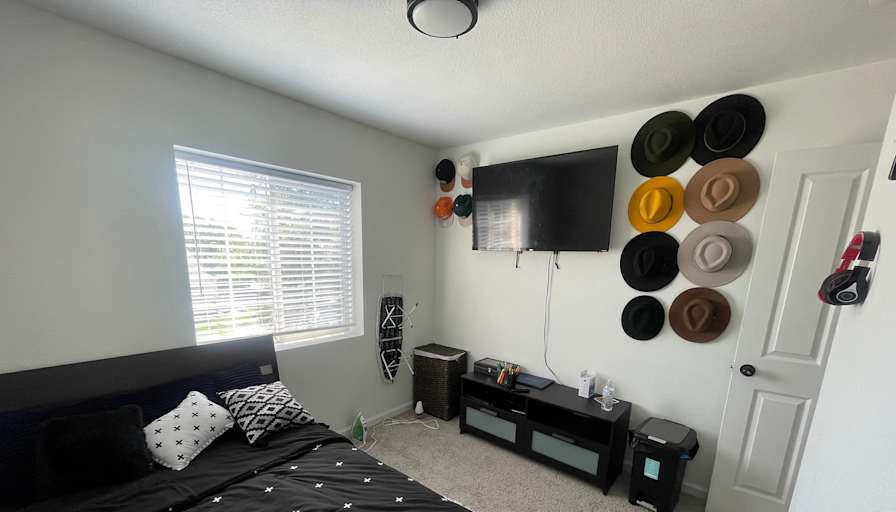 Guess's room