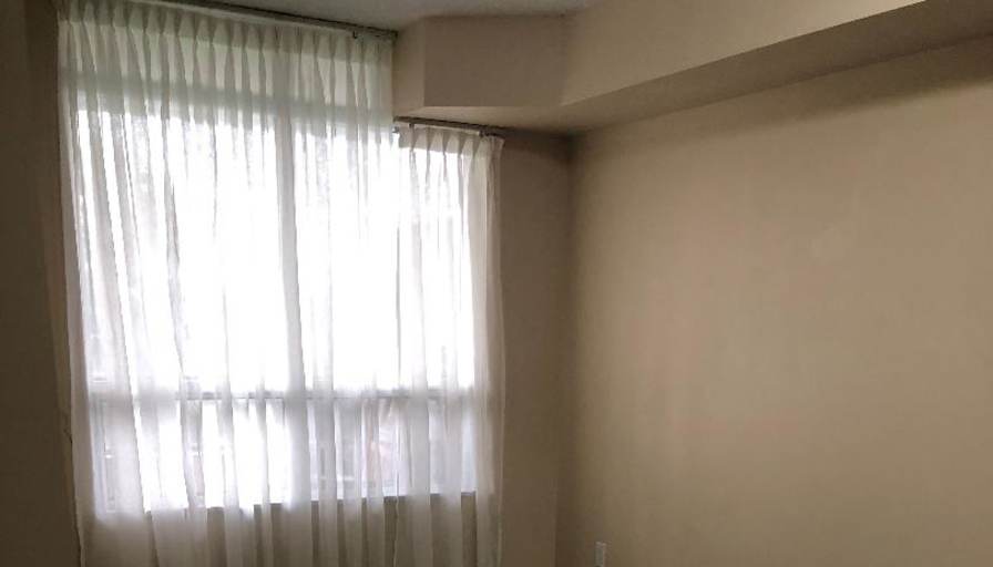 Mary's room