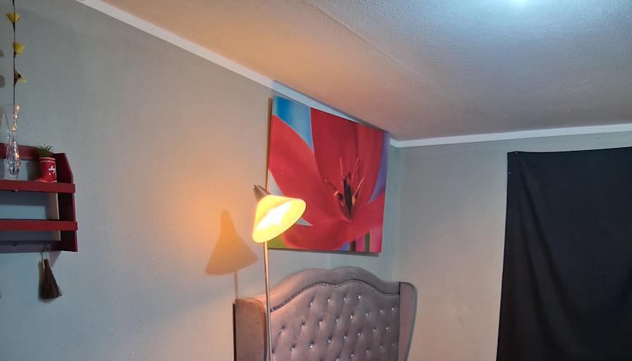 Louis's room