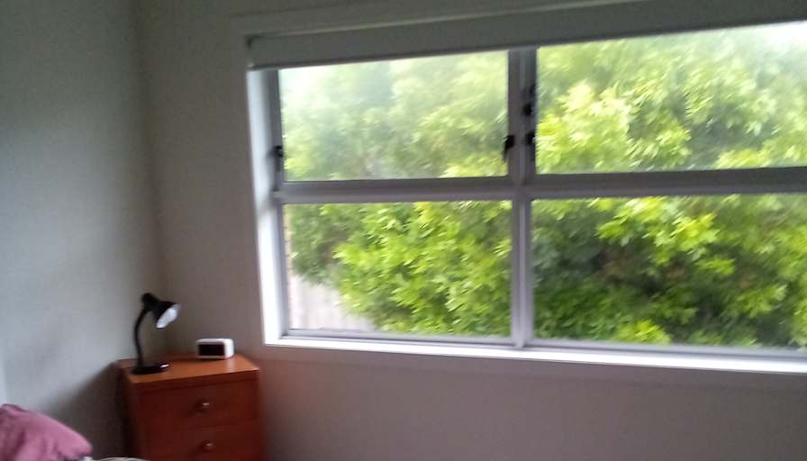 Adam's room