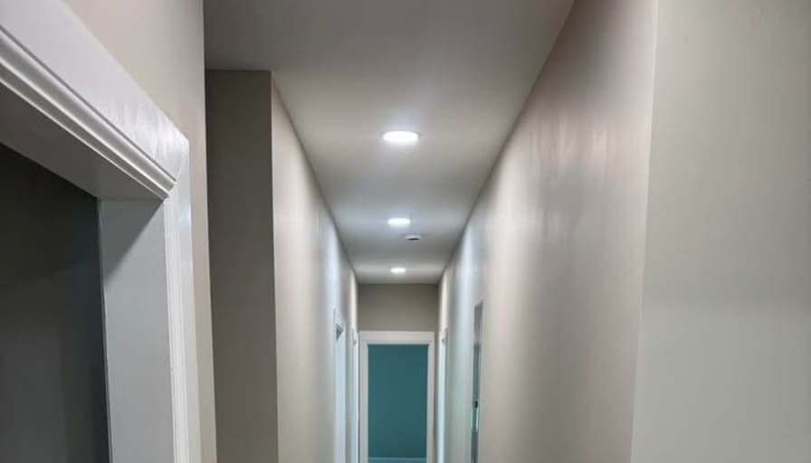 darwin's room