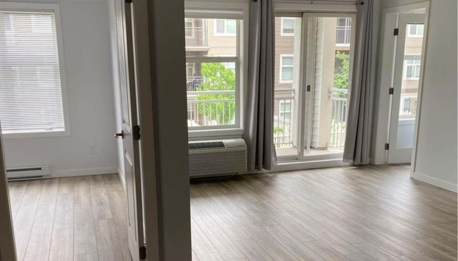 David's room