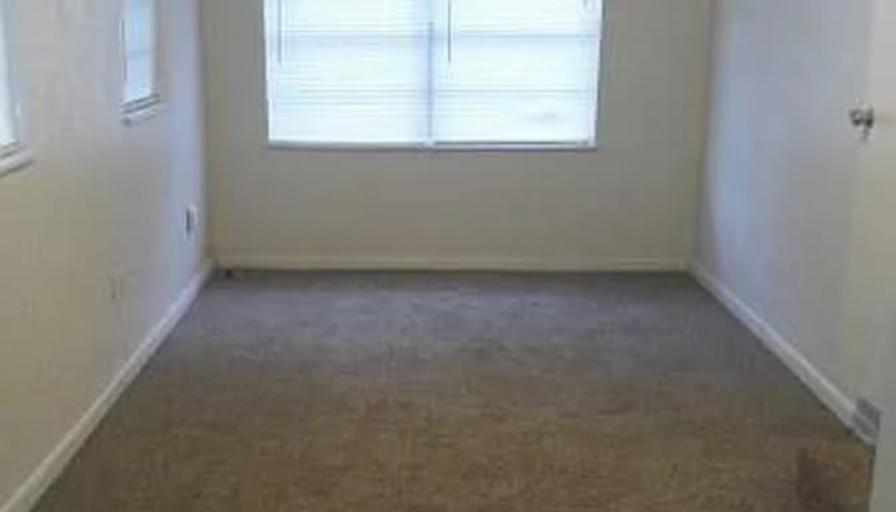 Patrice's room