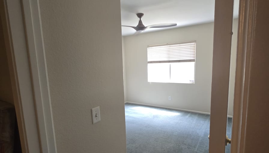 Viniva Management's room