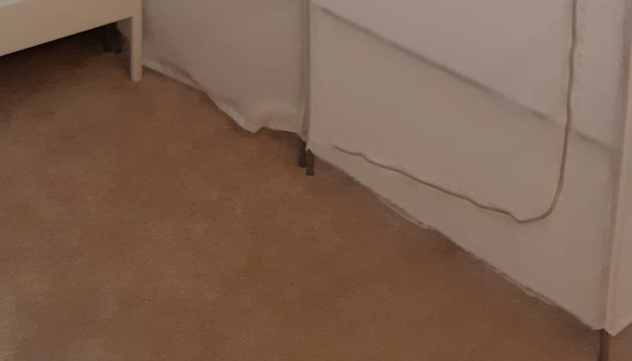 Shaheen's room