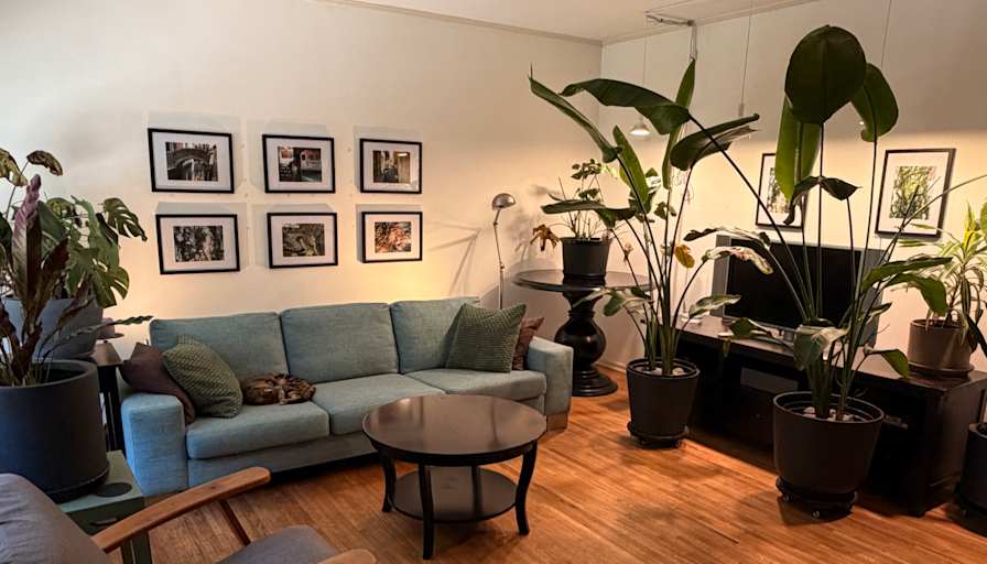 Brad's room