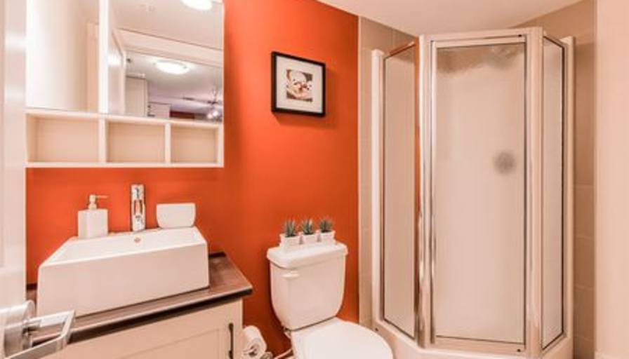 Mohammad's room