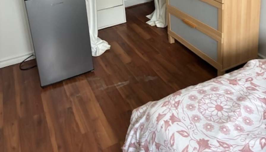 Mary's room