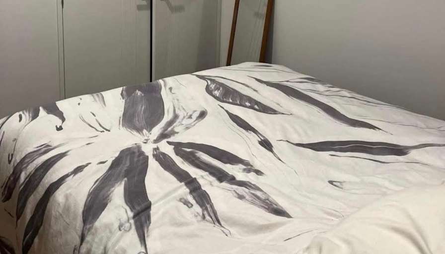 Dana's room