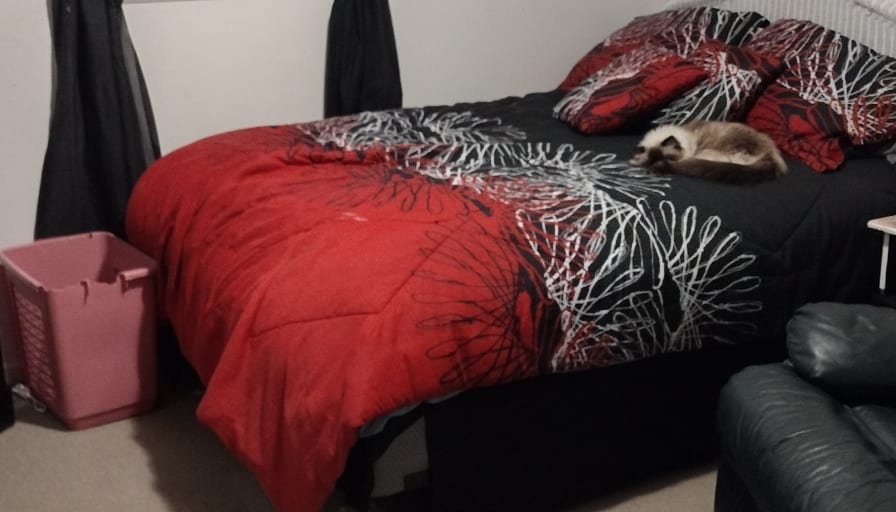 Jennifer's room