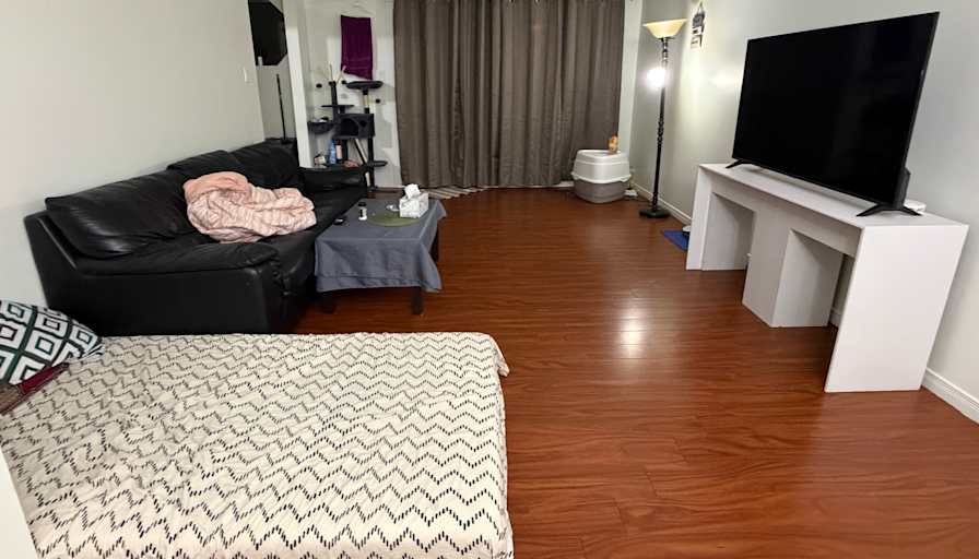 Anjali's room