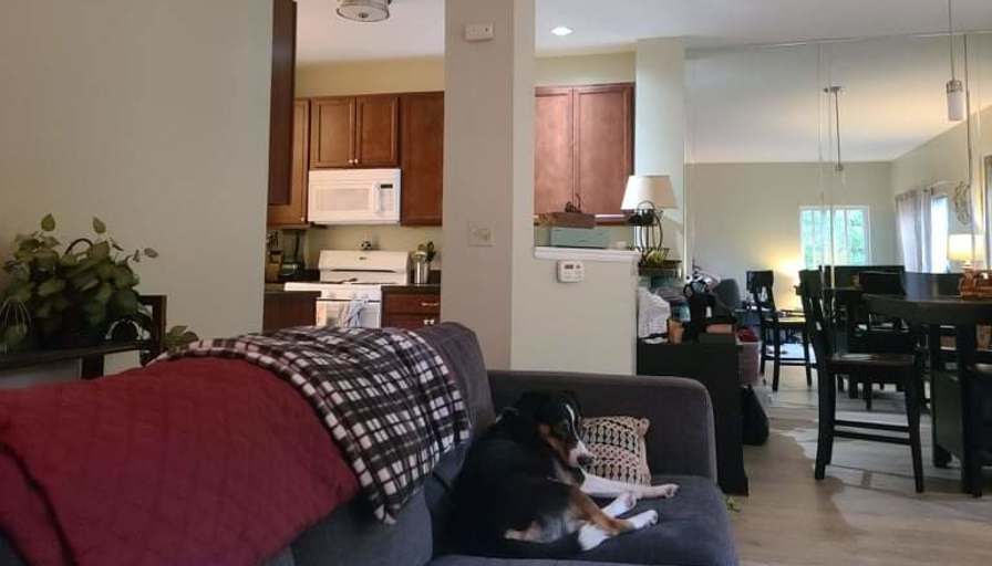 Tracey's room