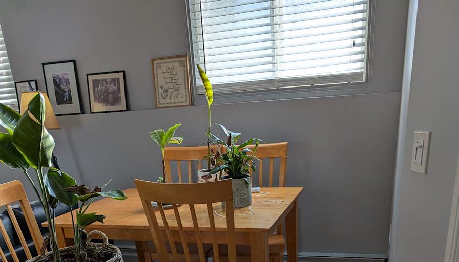 Alex M's room