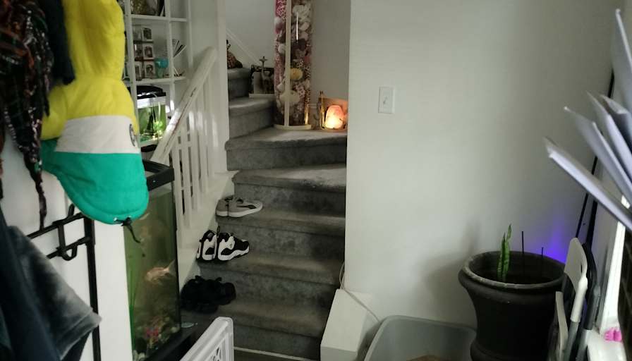Trevor's room