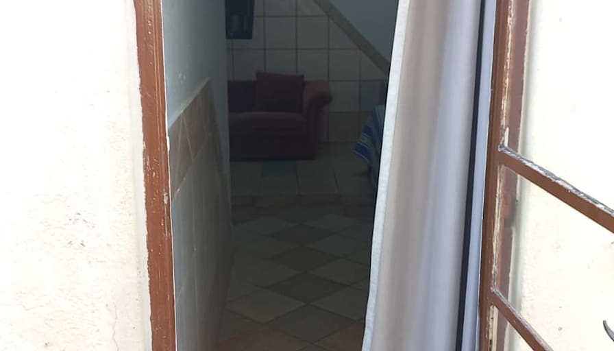 Willows on Bartlett's room