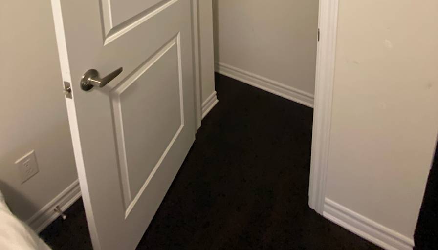 Sarita's room
